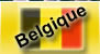 placement puce Belgique